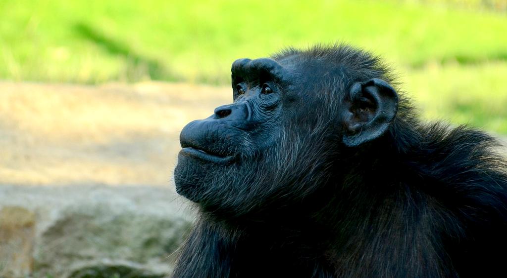 Historical computer technology