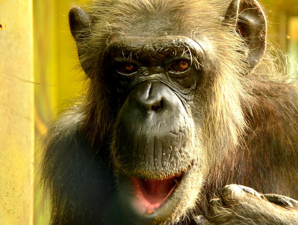 Contact illustration